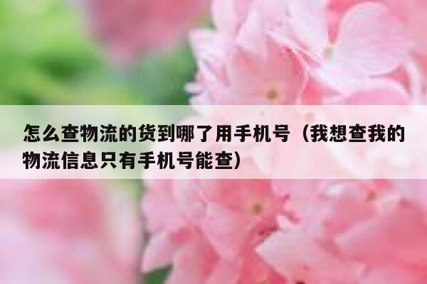 怎么查物流的货到哪了用手机号(我想查我的物流信息只有手机号能查) 第1张 怎么查物流的货到哪了用手机号(我想查我的物流信息只有手机号能查) 第1张