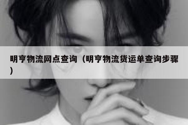 明亨物流网点查询（明亨物流货运单查询步骤） 第1张