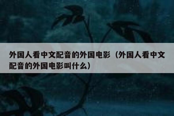 外国人看中文配音的外国电影（外国人看中文配音的外国电影叫什么） 第1张