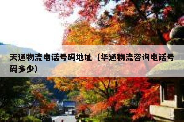 天通物流电话号码地址（华通物流咨询电话号码多少） 第1张