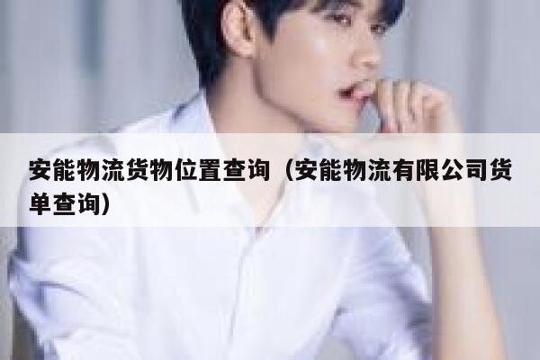 安能物流货物位置查询（安能物流有限公司货单查询） 第1张