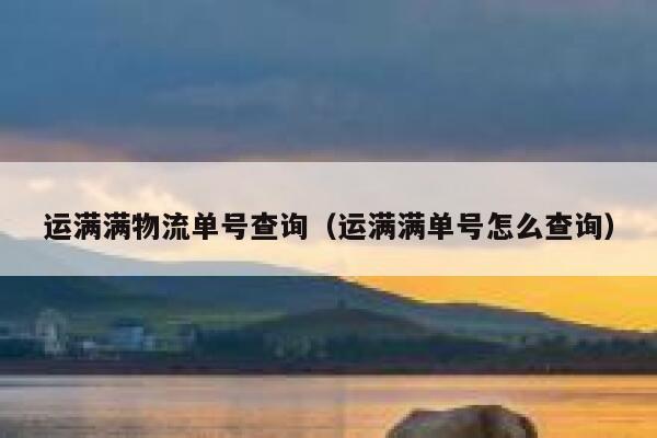 运满满物流单号查询（运满满单号怎么查询） 第1张