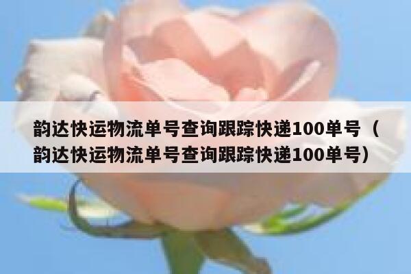 韵达快运物流单号查询跟踪快递100单号（韵达快运物流单号查询跟踪快递100单号） 第1张
