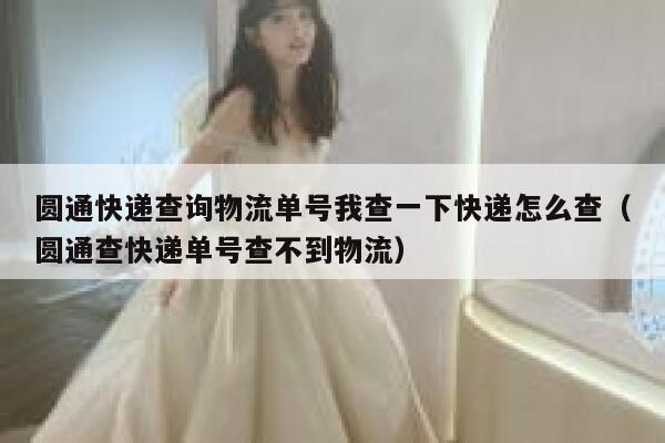 圆通快递查询物流单号我查一下快递怎么查（圆通查快递单号查不到物流） 第1张