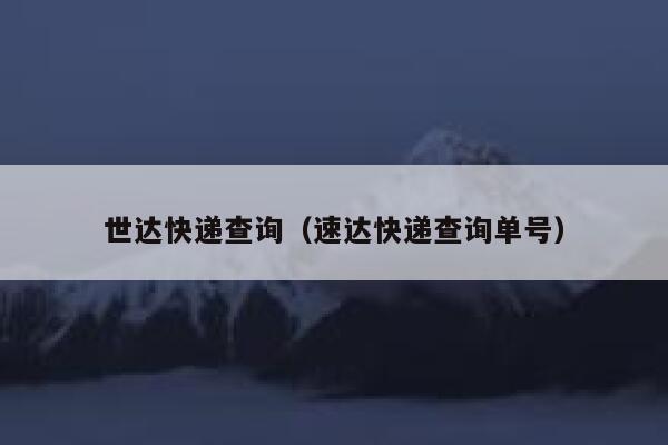 世达快递查询（速达快递查询单号） 第1张