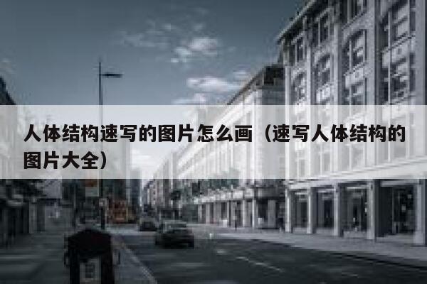 人体结构速写的图片怎么画（速写人体结构的图片大全） 第1张