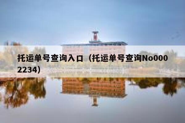 托运单号查询入口（托运单号查询No0002234） 第1张