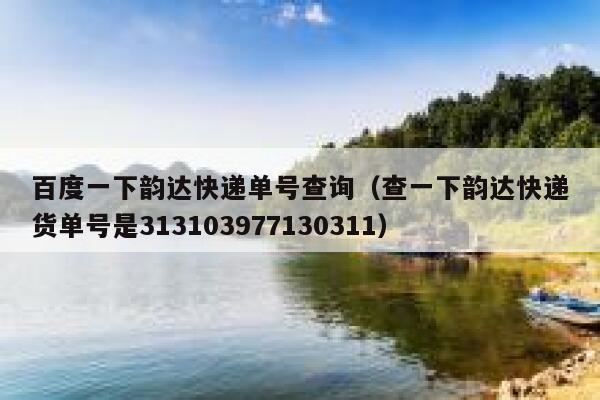 百度一下韵达快递单号查询(查一下韵达快递货单号是313103977130311) 第1张 百度一下韵达快递单号查询(查一下韵达快递货单号是313103977130311) 第1张