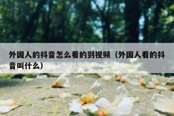 外国人的抖音怎么看的到视频（外国人看的抖音叫什么） 第1张