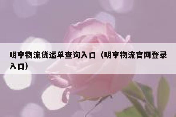 明亨物流货运单查询入口（明亨物流官网登录入口） 第1张