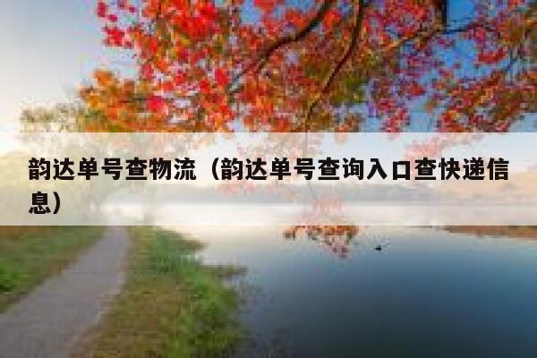 韵达单号查物流（韵达单号查询入口查快递信息） 第1张
