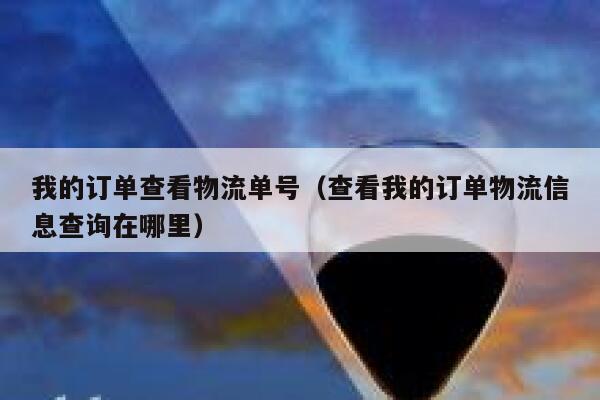 我的订单查看物流单号(查看我的订单物流信息查询在哪里) 第1张 我的订单查看物流单号(查看我的订单物流信息查询在哪里) 第1张
