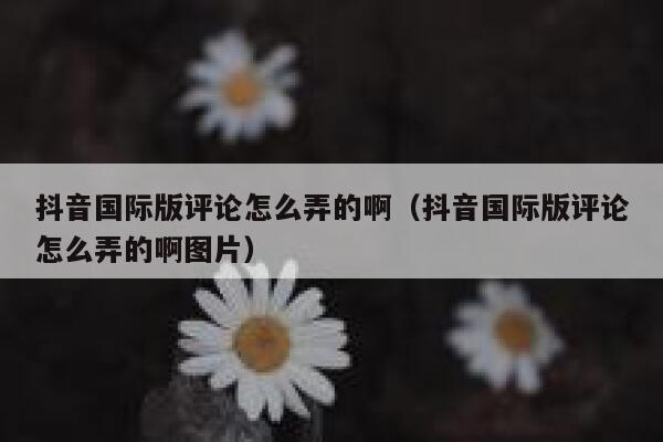 抖音国际版评论怎么弄的啊（抖音国际版评论怎么弄的啊图片） 第1张