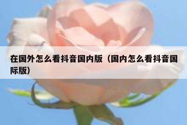 在国外怎么看抖音国内版（国内怎么看抖音国际版） 第1张