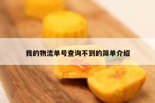 我的物流单号查询不到的简单介绍 第1张