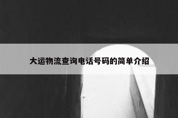 大运物流查询电话号码的简单介绍 第1张