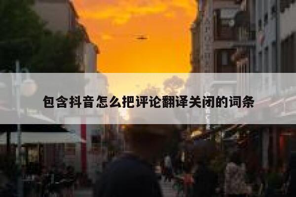 包含抖音怎么把评论翻译关闭的词条 第1张