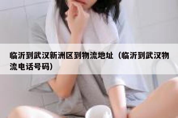 临沂到武汉新洲区到物流地址（临沂到武汉物流电话号码） 第1张