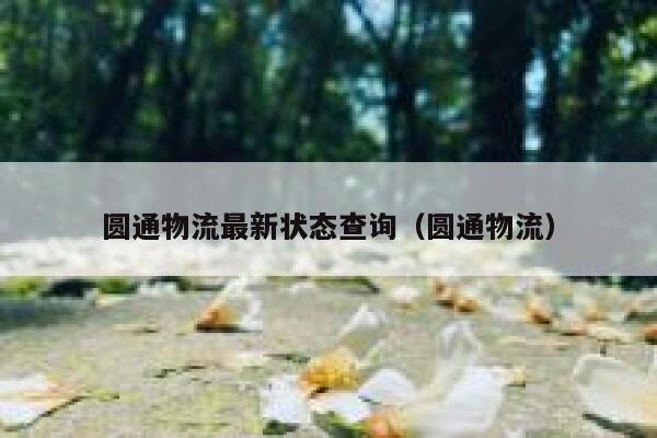 圆通物流最新状态查询（圆通物流） 第1张