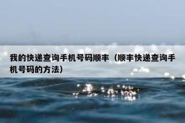 我的快递查询手机号码顺丰（顺丰快递查询手机号码的方法） 第1张