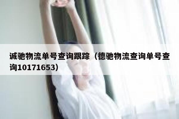 诚驰物流单号查询跟踪（德驰物流查询单号查询10171653） 第1张