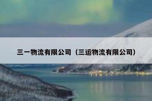 三一物流有限公司（三运物流有限公司） 第1张