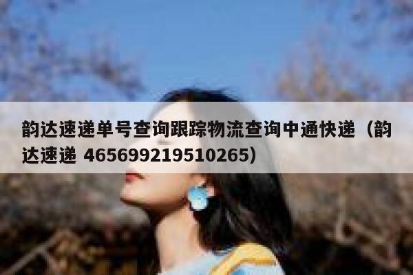 韵达速递单号查询跟踪物流查询中通快递（韵达速递 465699219510265） 第1张