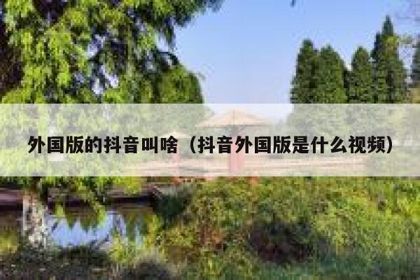 外国版的抖音叫啥（抖音外国版是什么视频） 第1张