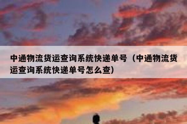 中通物流货运查询系统快递单号(中通物流货运查询系统快递单号怎么查) 第1张 中通物流货运查询系统快递单号(中通物流货运查询系统快递单号怎么查) 第1张