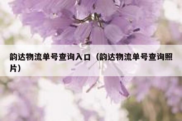 韵达物流单号查询入口（韵达物流单号查询照片） 第1张