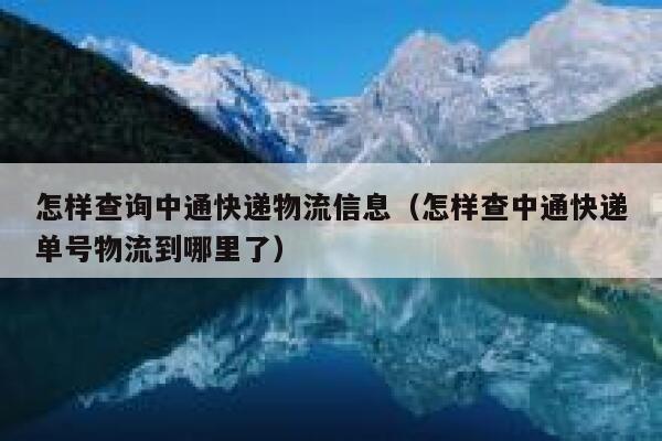 怎样查询中通快递物流信息（怎样查中通快递单号物流到哪里了） 第1张
