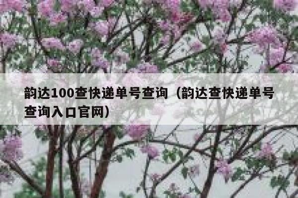 韵达100查快递单号查询（韵达查快递单号查询入口官网） 第1张