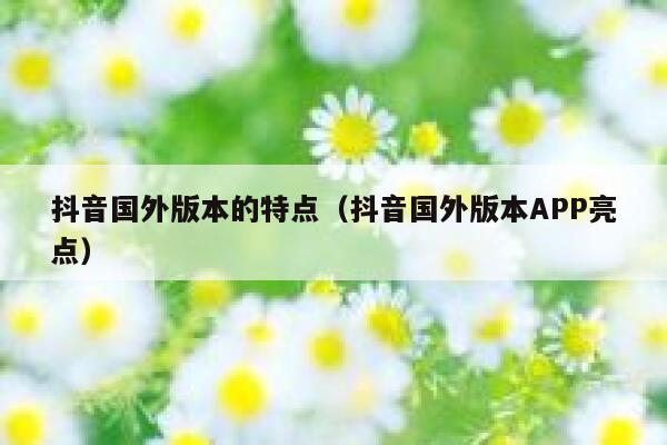 抖音国外版本的特点（抖音国外版本APP亮点） 第1张