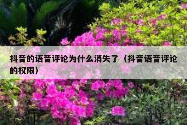 抖音的语音评论为什么消失了（抖音语音评论的权限） 第1张