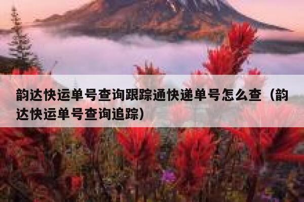 韵达快运单号查询跟踪通快递单号怎么查（韵达快运单号查询追踪） 第1张