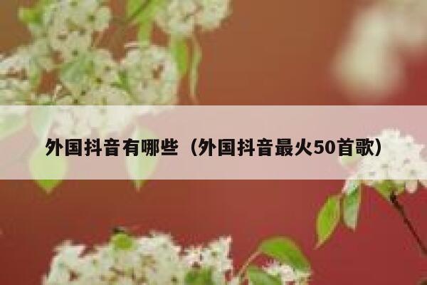 外国抖音有哪些（外国抖音最火50首歌） 第1张