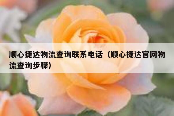 顺心捷达物流查询联系电话(顺心捷达官网物流查询步骤) 第1张 顺心捷达物流查询联系电话(顺心捷达官网物流查询步骤) 第1张