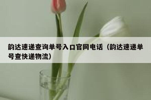 韵达速递查询单号入口官网电话（韵达速递单号查快递物流） 第1张