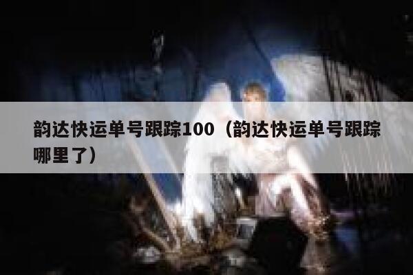 韵达快运单号跟踪100（韵达快运单号跟踪哪里了） 第1张