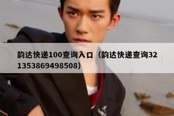 韵达快递100查询入口（韵达快递查询321353869498508） 第1张