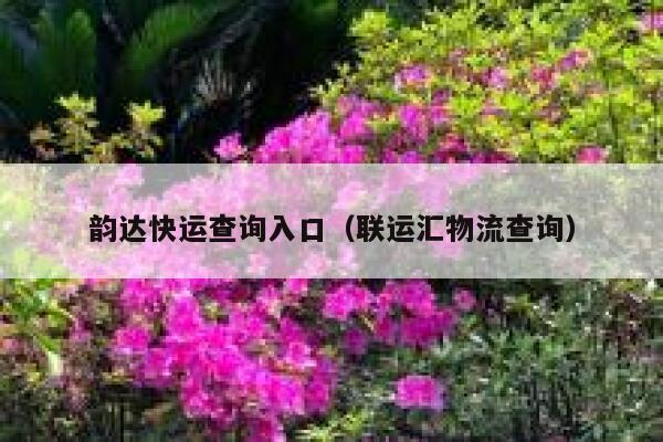 韵达快运查询入口(联运汇物流查询) 第1张 韵达快运查询入口(联运汇物流查询) 第1张