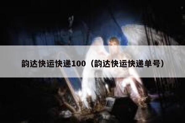 韵达快运快递100（韵达快运快递单号） 第1张