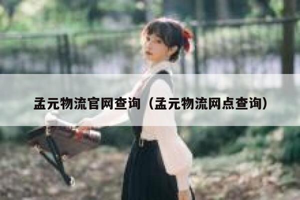 孟元物流官网查询（孟元物流网点查询） 第1张