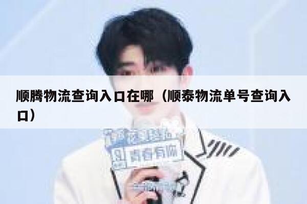 顺腾物流查询入口在哪（顺泰物流单号查询入口） 第1张