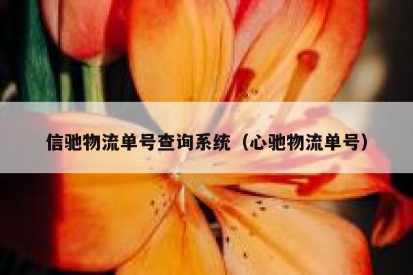 信驰物流单号查询系统（心驰物流单号） 第1张