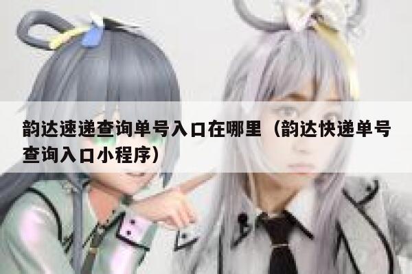 韵达速递查询单号入口在哪里（韵达快递单号查询入口小程序） 第1张