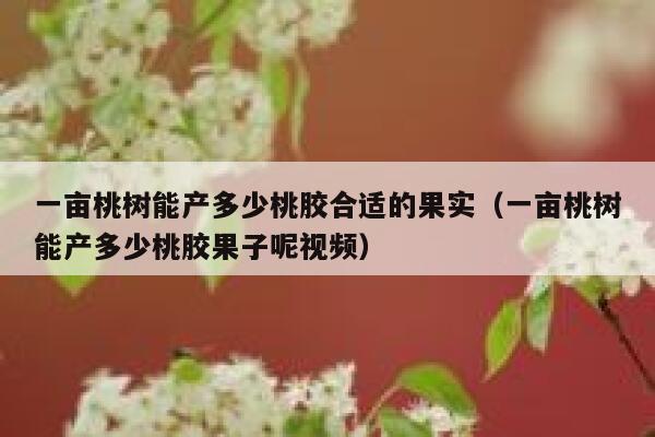 一亩桃树能产多少桃胶合适的果实(一亩桃树能产多少桃胶果子呢视频) 第1张 一亩桃树能产多少桃胶合适的果实(一亩桃树能产多少桃胶果子呢视频) 第1张