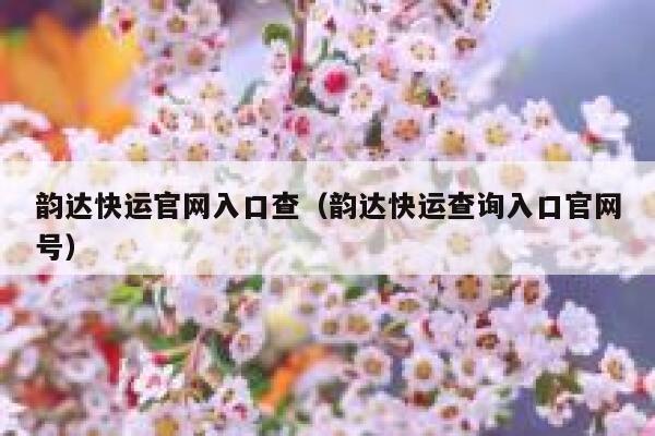 韵达快运官网入口查（韵达快运查询入口官网号） 第1张
