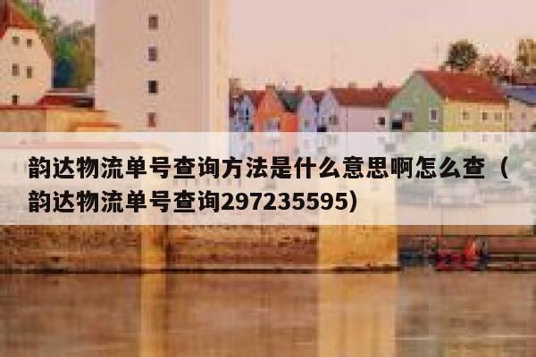 韵达物流单号查询方法是什么意思啊怎么查（韵达物流单号查询297235595） 第1张