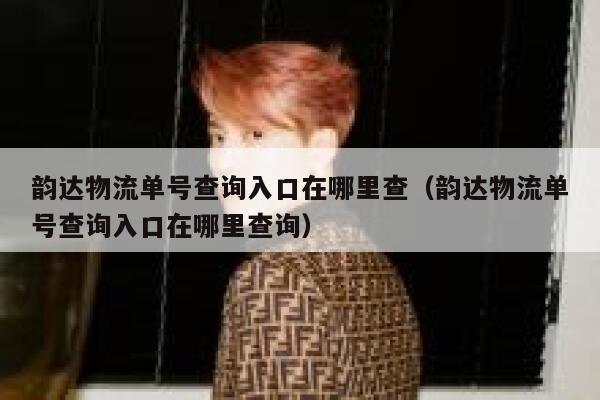 韵达物流单号查询入口在哪里查（韵达物流单号查询入口在哪里查询） 第1张